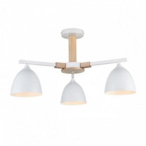 Люстра на штанге Lumion Colange 8095/3C в Агрызе - agryz.ok-mebel.com | фото 2