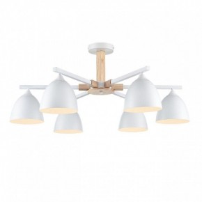 Люстра на штанге Lumion Colange 8095/6C в Агрызе - agryz.ok-mebel.com | фото 2