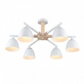 Люстра на штанге Lumion Colange 8095/6C в Агрызе - agryz.ok-mebel.com | фото 3
