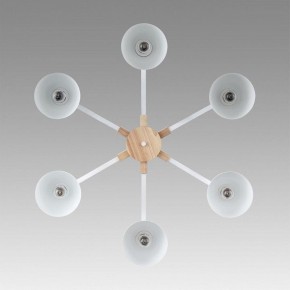 Люстра на штанге Lumion Colange 8095/6C в Агрызе - agryz.ok-mebel.com | фото 4