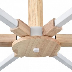 Люстра на штанге Lumion Colange 8095/6C в Агрызе - agryz.ok-mebel.com | фото 7
