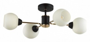 Люстра на штанге Lumion KODI 5646/4C в Агрызе - agryz.ok-mebel.com | фото