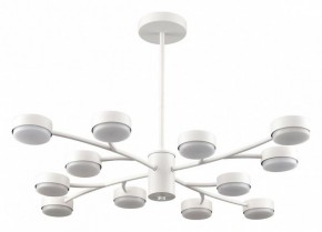 Люстра на штанге Lumion TORINA 8265/12 в Агрызе - agryz.ok-mebel.com | фото