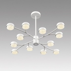 Люстра на штанге Lumion TORINA 8265/12 в Агрызе - agryz.ok-mebel.com | фото 5