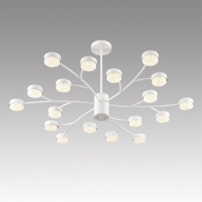 Люстра на штанге Lumion TORINA 8265/18 в Агрызе - agryz.ok-mebel.com | фото 5