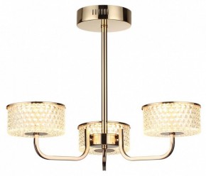 Люстра на штанге Lumion Venice 6579/40CL в Агрызе - agryz.ok-mebel.com | фото 5