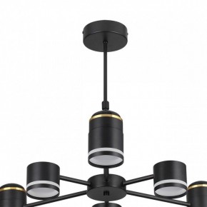 Люстра на штанге Lumion Virsava 8234/6C в Агрызе - agryz.ok-mebel.com | фото 5