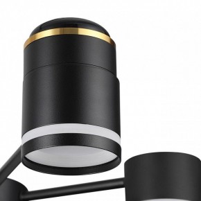 Люстра на штанге Lumion Virsava 8234/6C в Агрызе - agryz.ok-mebel.com | фото 8