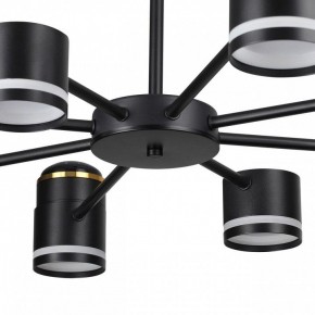 Люстра на штанге Lumion Virsava 8234/8C в Агрызе - agryz.ok-mebel.com | фото 10