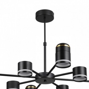 Люстра на штанге Lumion Virsava 8234/8C в Агрызе - agryz.ok-mebel.com | фото 5
