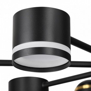 Люстра на штанге Lumion Virsava 8234/8C в Агрызе - agryz.ok-mebel.com | фото 8
