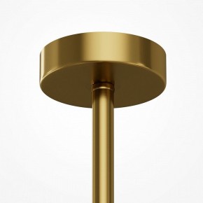 Люстра на штанге Maytoni Museo MOD436PL-07BS в Агрызе - agryz.ok-mebel.com | фото 5