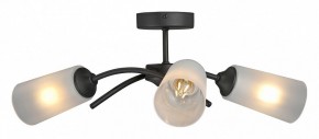 Люстра на штанге Vitaluce V2850 V2850-1/3PL в Агрызе - agryz.ok-mebel.com | фото