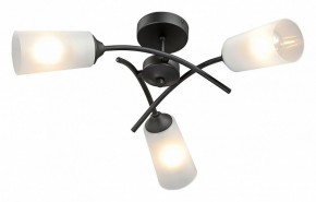Люстра на штанге Vitaluce V2850 V2850-1/3PL в Агрызе - agryz.ok-mebel.com | фото 2