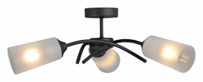 Люстра на штанге Vitaluce V2850 V2850-1/3PL в Агрызе - agryz.ok-mebel.com | фото 3