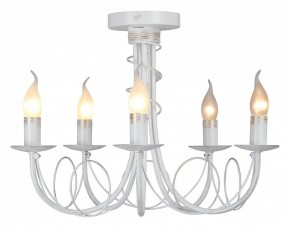 Люстра на штанге Vitaluce V3035 V3035-0/5PL в Агрызе - agryz.ok-mebel.com | фото 2