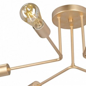 Люстра на штанге Vitaluce V3071 V3071-8/6PL в Агрызе - agryz.ok-mebel.com | фото 6