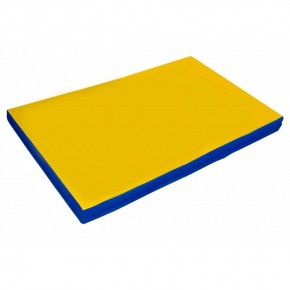 Мат гимнастический 2х1х0,05м цв. синий-желтый в Агрызе - agryz.ok-mebel.com | фото