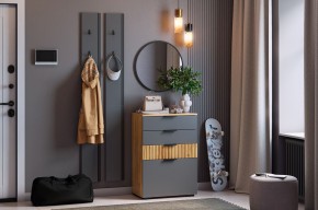 МЕБЕЛЬСОН К21 Прихожая в Агрызе - agryz.ok-mebel.com | фото 2