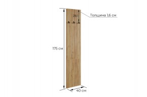 МЕБЕЛЬСОН К7 Прихожая в Агрызе - agryz.ok-mebel.com | фото 4