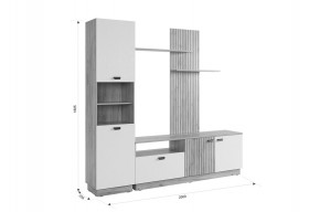 МОДИ К1 Гостиная (белое дерево) в Агрызе - agryz.ok-mebel.com | фото 2