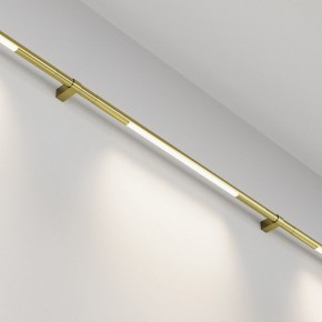Модульный светильник Maytoni Basis C100CL-L500-12W3-6K-BS в Агрызе - agryz.ok-mebel.com | фото 2