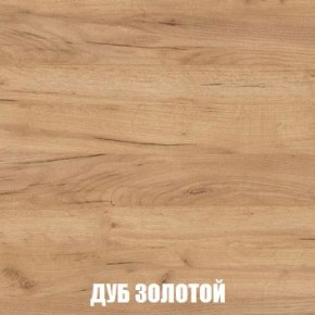 МСП-1 Шкаф 2-х створчатый (Дуб Золотой/Камень темный) в Агрызе - agryz.ok-mebel.com | фото 4