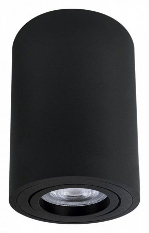 Накладной светильник Arte Lamp Sentry A1566PL-1BK в Агрызе - agryz.ok-mebel.com | фото