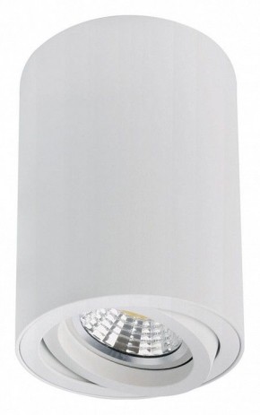 Накладной светильник Arte Lamp Sentry A1566PL-1WH в Агрызе - agryz.ok-mebel.com | фото