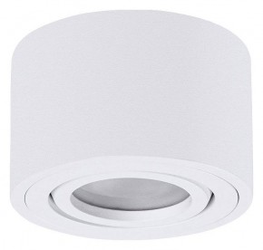 Накладной светильник Arte Lamp Unito A0550PL-1WH в Агрызе - agryz.ok-mebel.com | фото