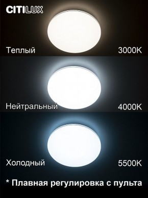 Накладной светильник Citilux Симпла CL714330G в Агрызе - agryz.ok-mebel.com | фото 4