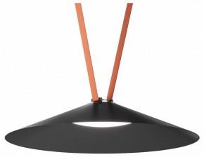 Накладной светильник Denkirs Belty Flow DK5568-BK в Агрызе - agryz.ok-mebel.com | фото 2