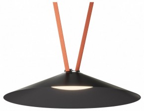 Накладной светильник Denkirs Belty Flow DK5569-BK в Агрызе - agryz.ok-mebel.com | фото 2