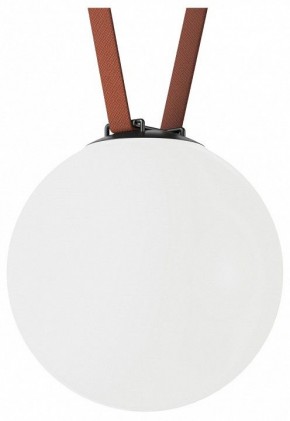 Накладной светильник Denkirs Belty Orb DK5554-BK в Агрызе - agryz.ok-mebel.com | фото