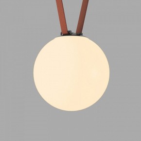 Накладной светильник Denkirs Belty Orb DK5555-BK в Агрызе - agryz.ok-mebel.com | фото 2
