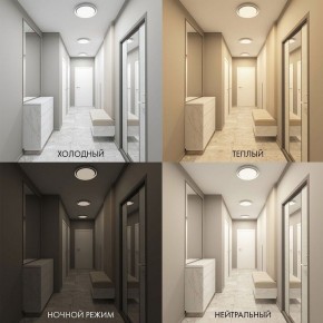 Накладной светильник Denkirs Cany DK6516-WH в Агрызе - agryz.ok-mebel.com | фото 2
