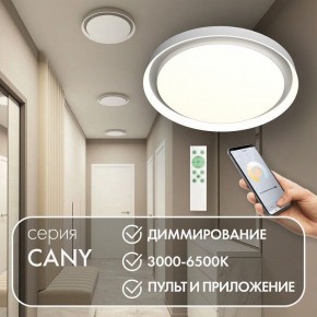 Накладной светильник Denkirs Cany DK6516-WH в Агрызе - agryz.ok-mebel.com | фото 4