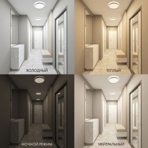 Накладной светильник Denkirs PLATO DK6510-WH в Агрызе - agryz.ok-mebel.com | фото 2