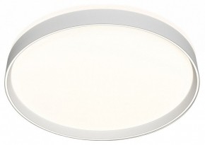 Накладной светильник Denkirs PLATO DK6511-WH/1 в Агрызе - agryz.ok-mebel.com | фото