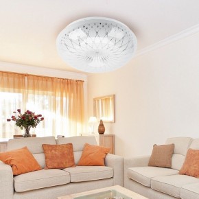 Накладной светильник Эра Классик SPB-6-12-4K Feya в Агрызе - agryz.ok-mebel.com | фото 3