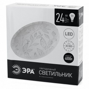 Накладной светильник Эра Классик SPB-6-24-4K (C) в Агрызе - agryz.ok-mebel.com | фото 4
