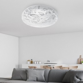 Накладной светильник Эра Классик SPB-6-24-4K (C) в Агрызе - agryz.ok-mebel.com | фото 5