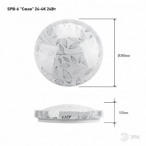 Накладной светильник Эра Классик SPB-6-24-4K (C) в Агрызе - agryz.ok-mebel.com | фото 6