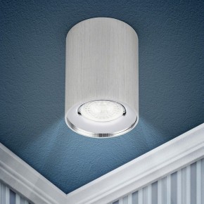 Накладной светильник Эра  OL1 GU10 SL/CH в Агрызе - agryz.ok-mebel.com | фото 3