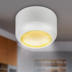 Накладной светильник Эра  OL56 WH в Агрызе - agryz.ok-mebel.com | фото 8