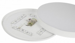 Накладной светильник Эра Relict Relict 48 Pult SPB-6-60-RC WH в Агрызе - agryz.ok-mebel.com | фото 11
