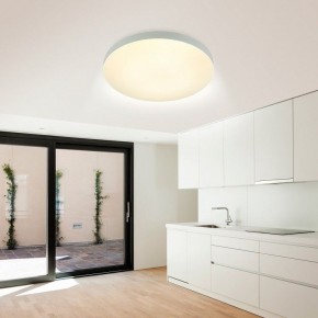 Накладной светильник Эра Relict Relict 48 Pult SPB-6-60-RC WH в Агрызе - agryz.ok-mebel.com | фото 9