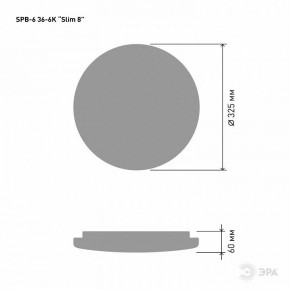 Накладной светильник Эра Slim SPB-6 Slim 8 36-6K в Агрызе - agryz.ok-mebel.com | фото 2