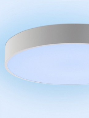 Накладной светильник Natali Kovaltseva MODERN LED LAMPS 81105/1C в Агрызе - agryz.ok-mebel.com | фото 11
