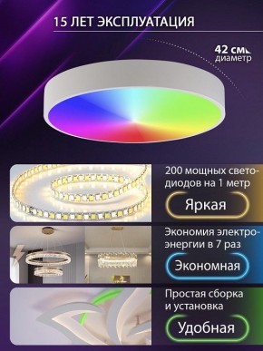 Накладной светильник Natali Kovaltseva MODERN LED LAMPS 81105/1C в Агрызе - agryz.ok-mebel.com | фото 6